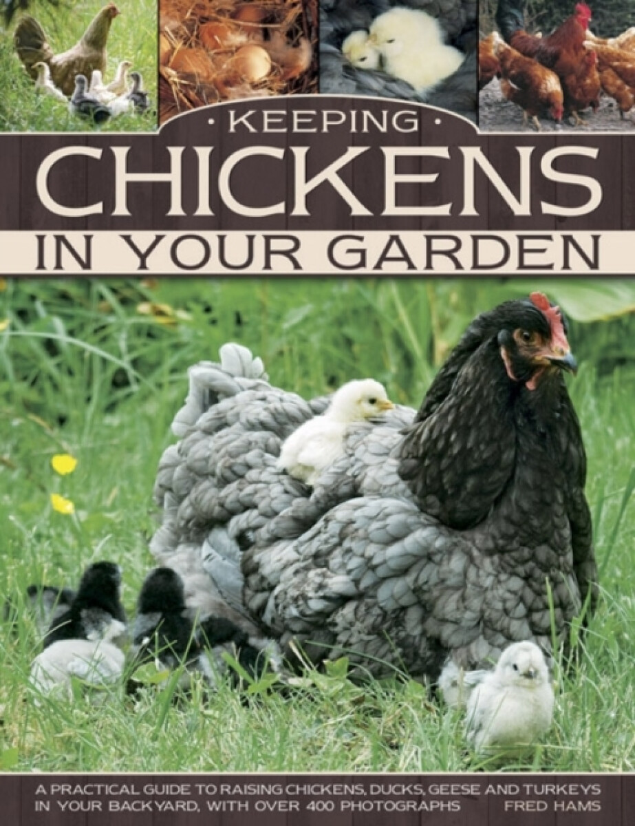Kniha Keeping Chickens in Your Garden