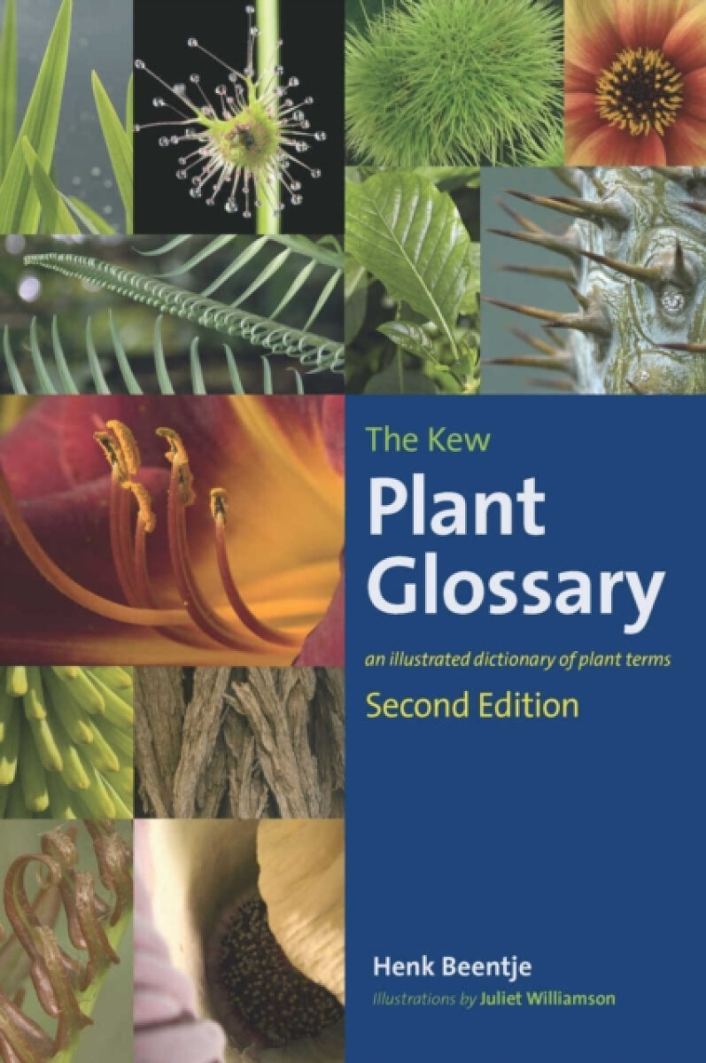Kniha Kew Plant Glossary, The