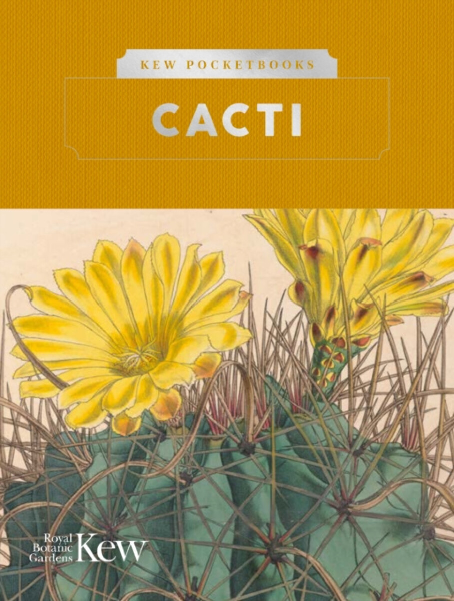 Kniha Kew Pocketbooks: Cacti