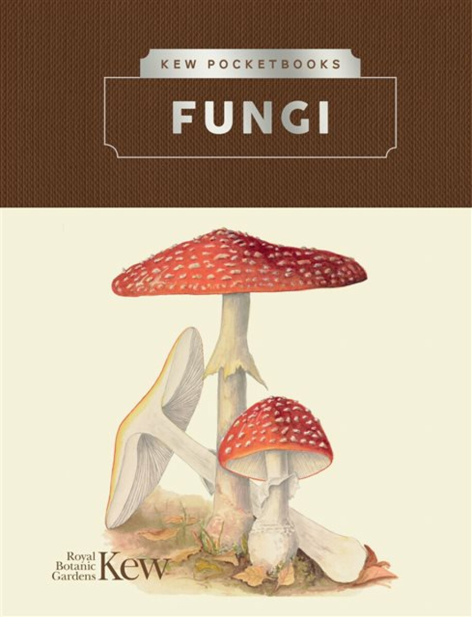 Kniha Kew Pocketbooks: Fungi
