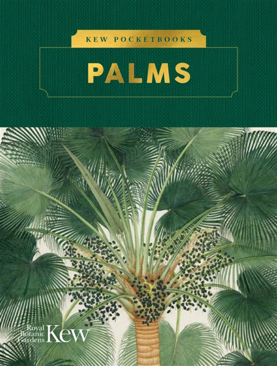 Kniha Kew Pocketbooks: Palms