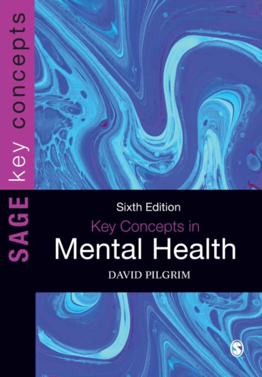 Kniha Key Concepts in Mental Health