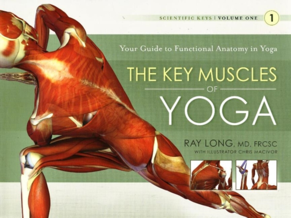 Kniha Key Muscles of Yoga: Your Guide to Functional Anatomy in Yoga