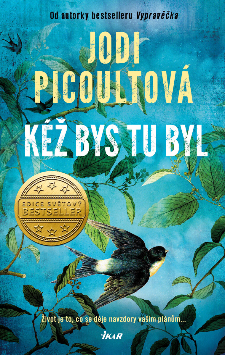 Levně Kéž bys tu byl - Jodi Picoultová