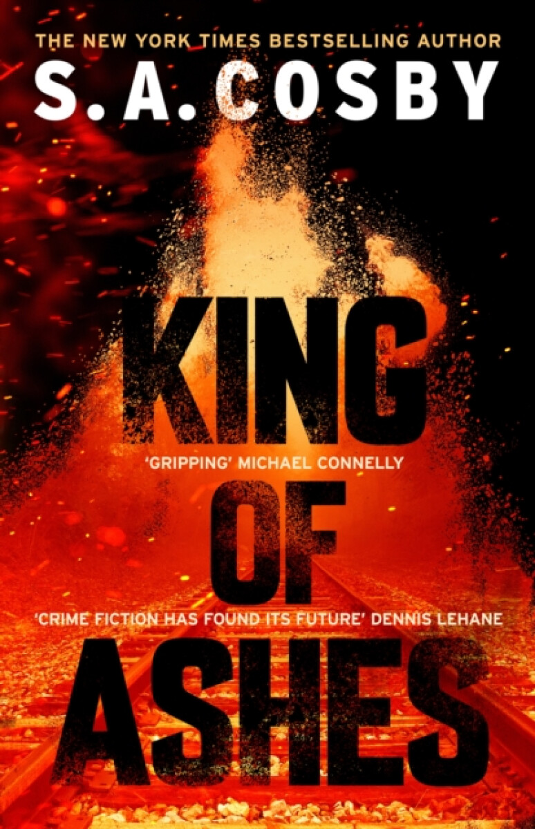 Kniha King of Ashes
