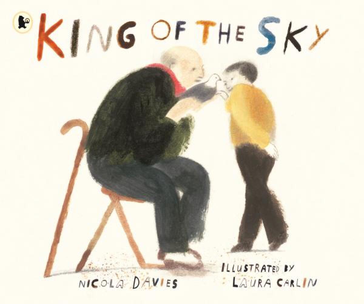 Kniha King of the Sky