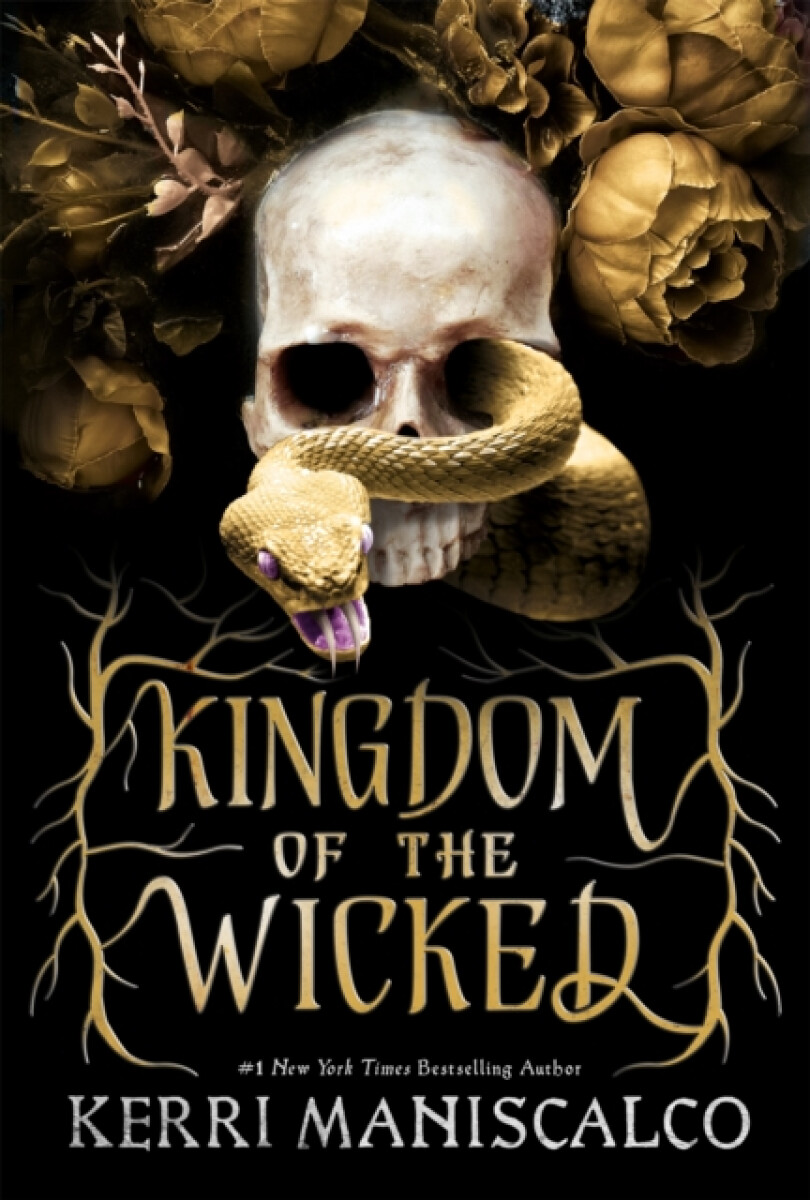 Kniha Kingdom of the Wicked