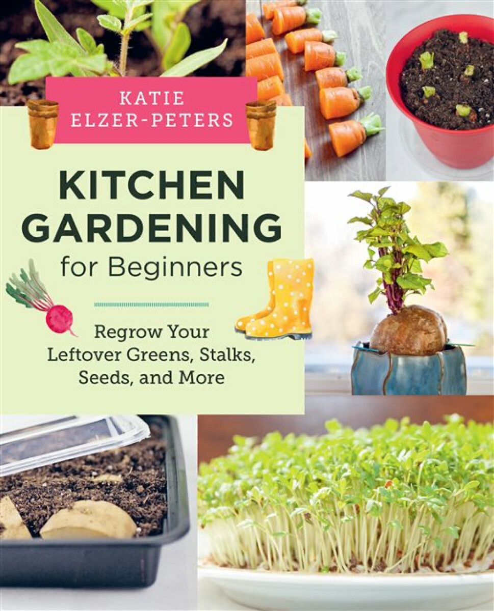 Kniha Kitchen Gardening for Beginners