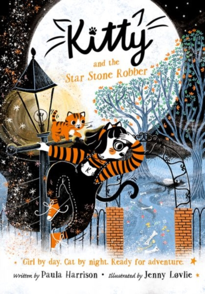 Kniha Kitty and the Star Stone Robber