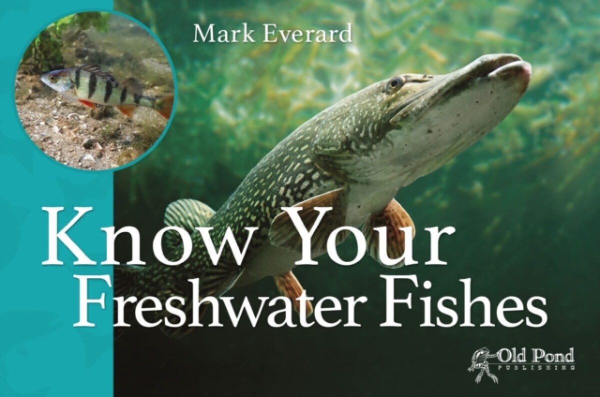Kniha Know Your Freshwater Fishes