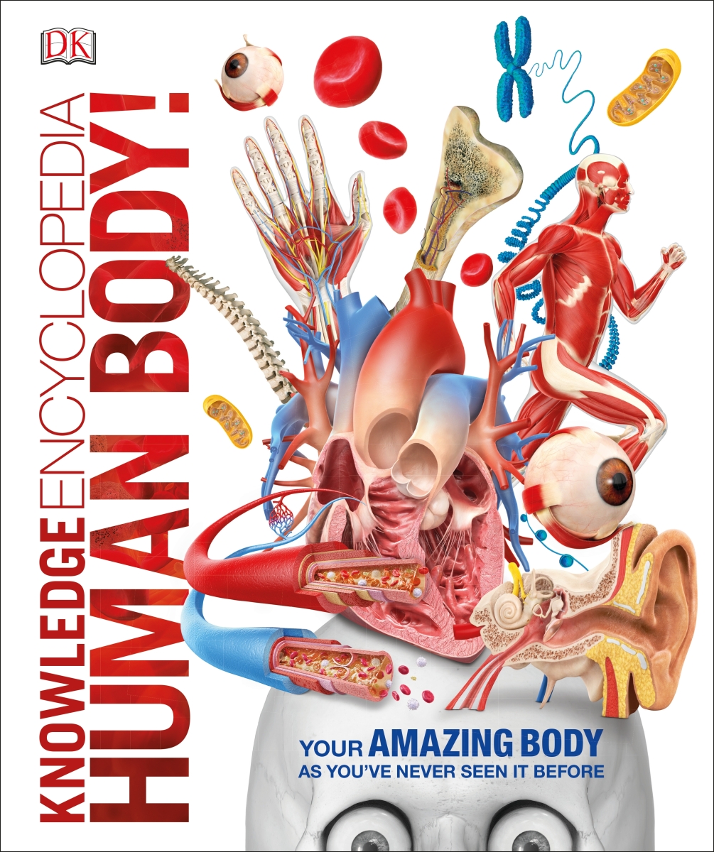 Kniha Knowledge Encyclopedia Human Body!