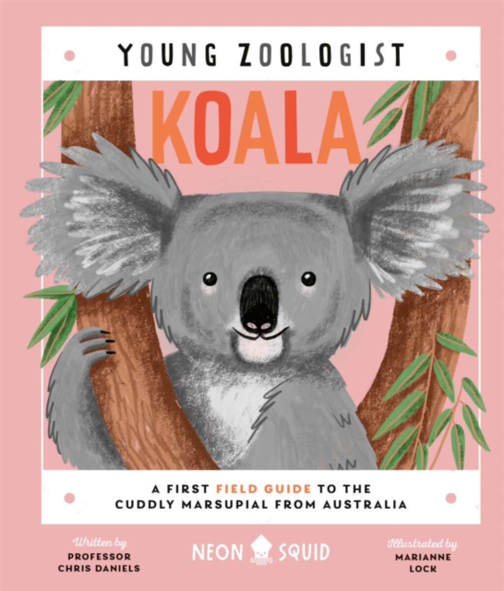 Kniha Koala (Young Zoologist)