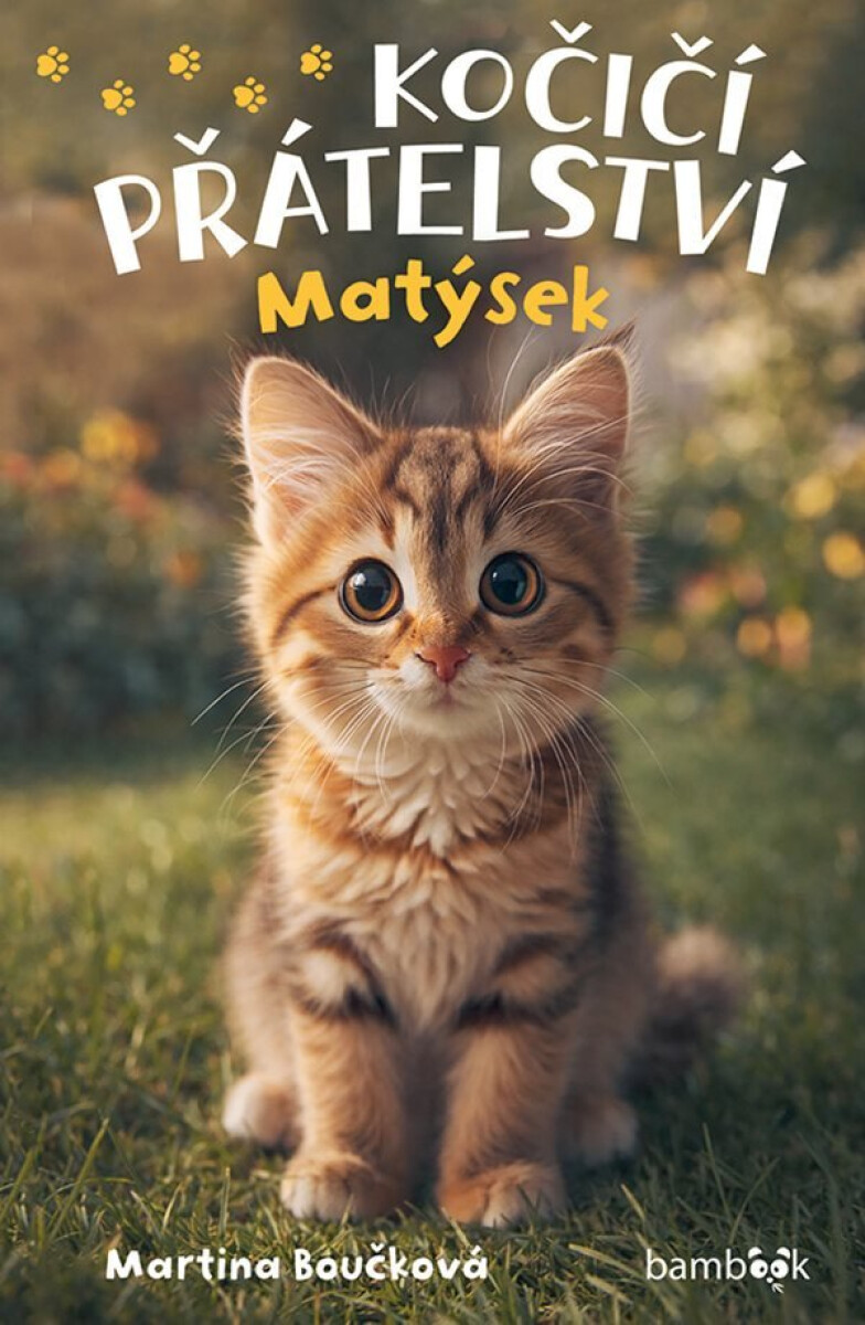 Kniha Kočičí přátelství - Matýsek