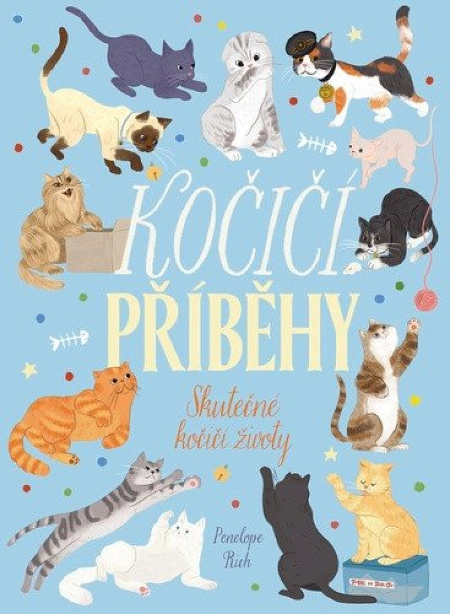 Kniha Kočičí příběhy - Skutečné kočičí životy