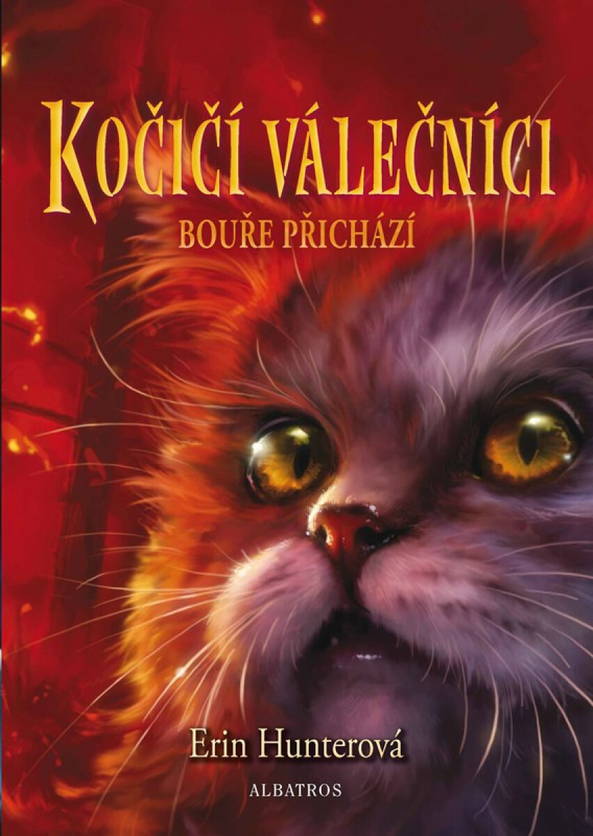 Kniha Kočičí válečníci (4) - Bouře přichází