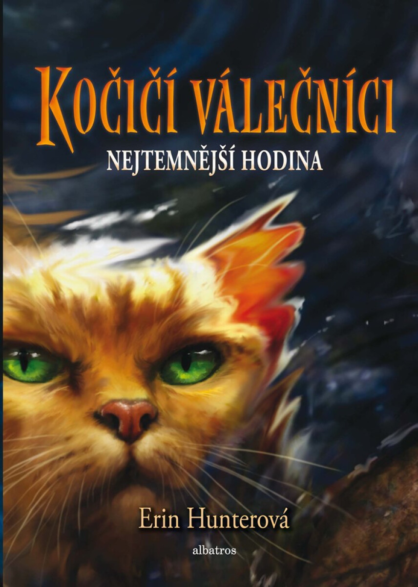 Levně Kočičí válečníci 6: Nejtemnější hodina - Erin Hunterová