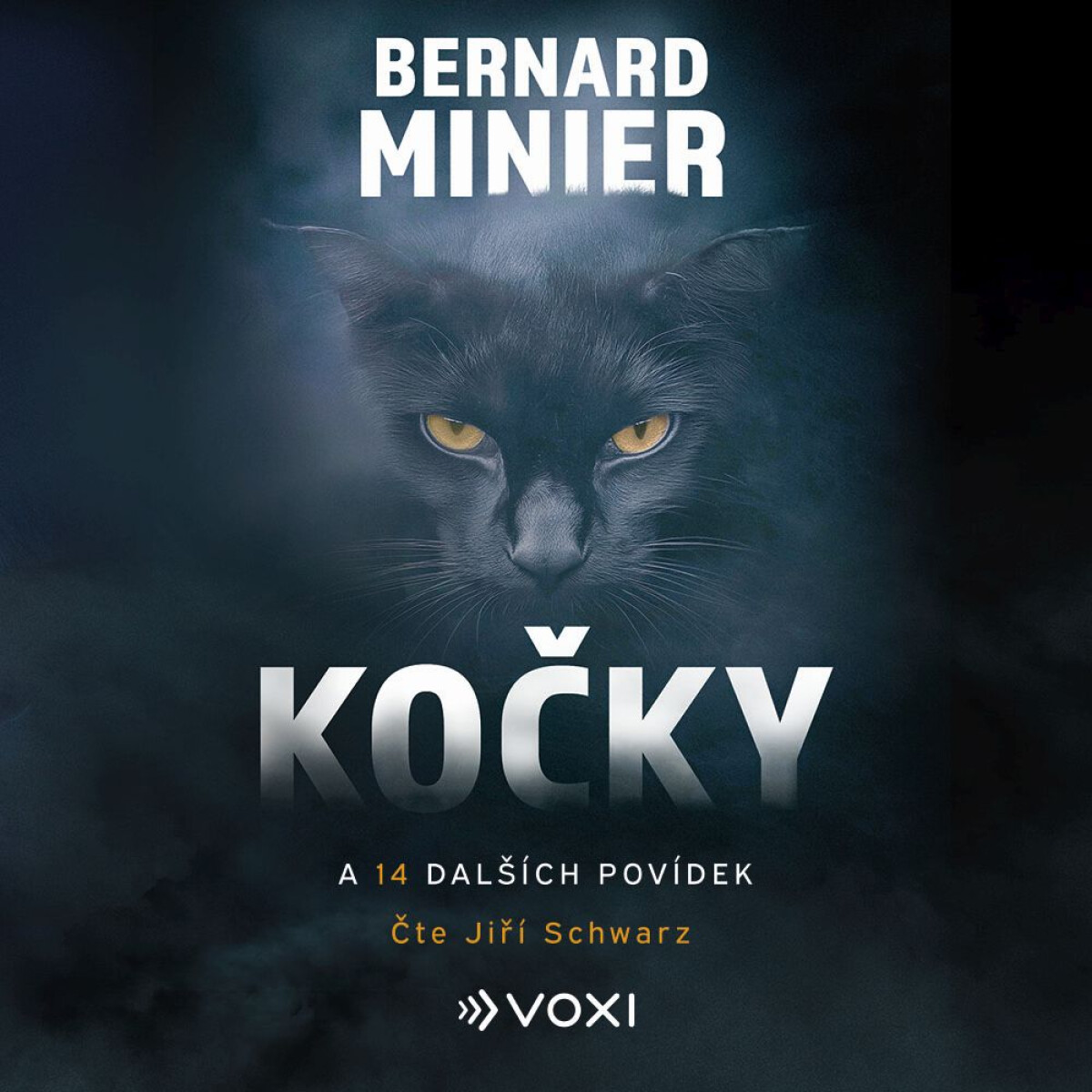Levně Kočky a 14 dalších povídek - Bernard Minier - audiokniha