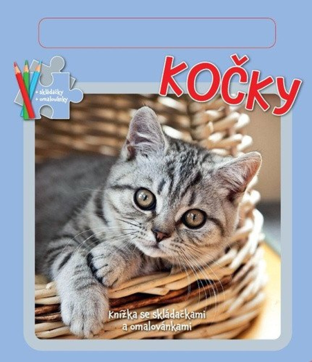 Kniha Kočky