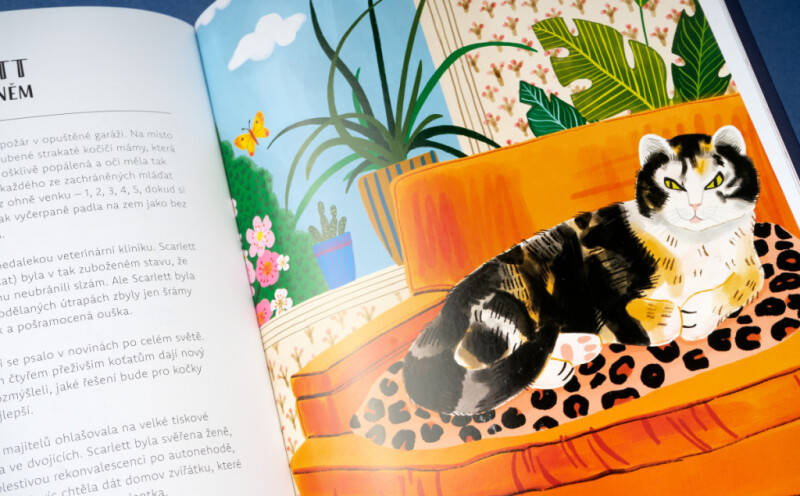 Kočky v akci! - Kimberlie Hamiltonová (obrázek 8)