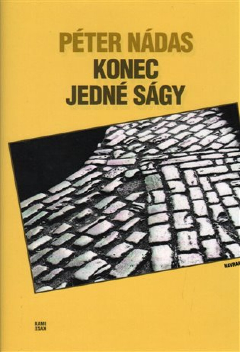 Kniha Konec jedné ságy