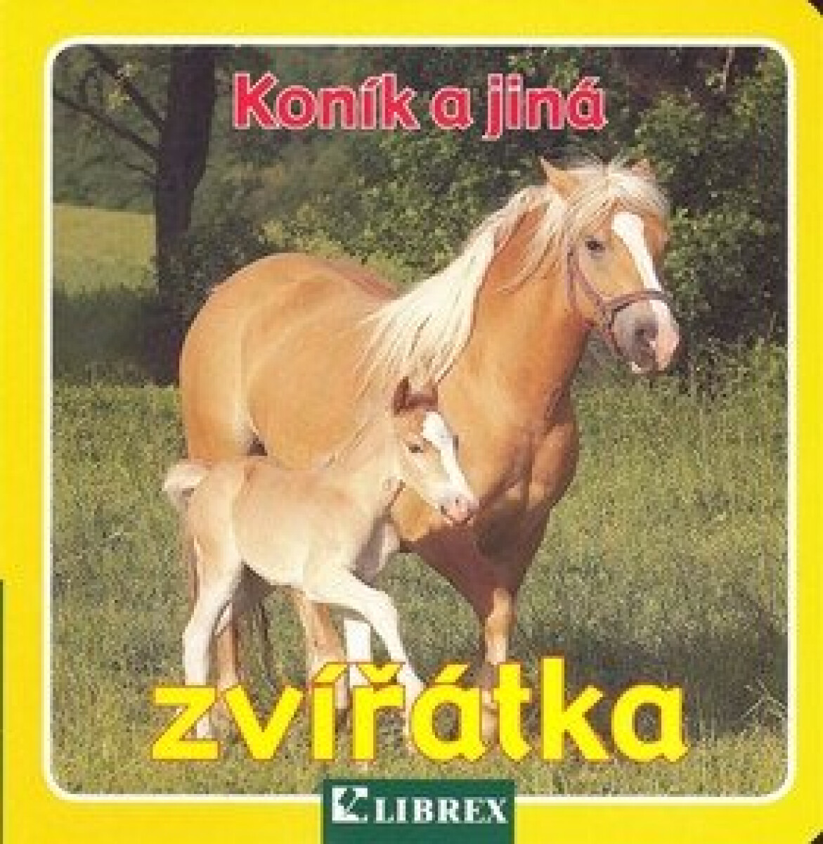 Kniha Koník a jiná zvířátka