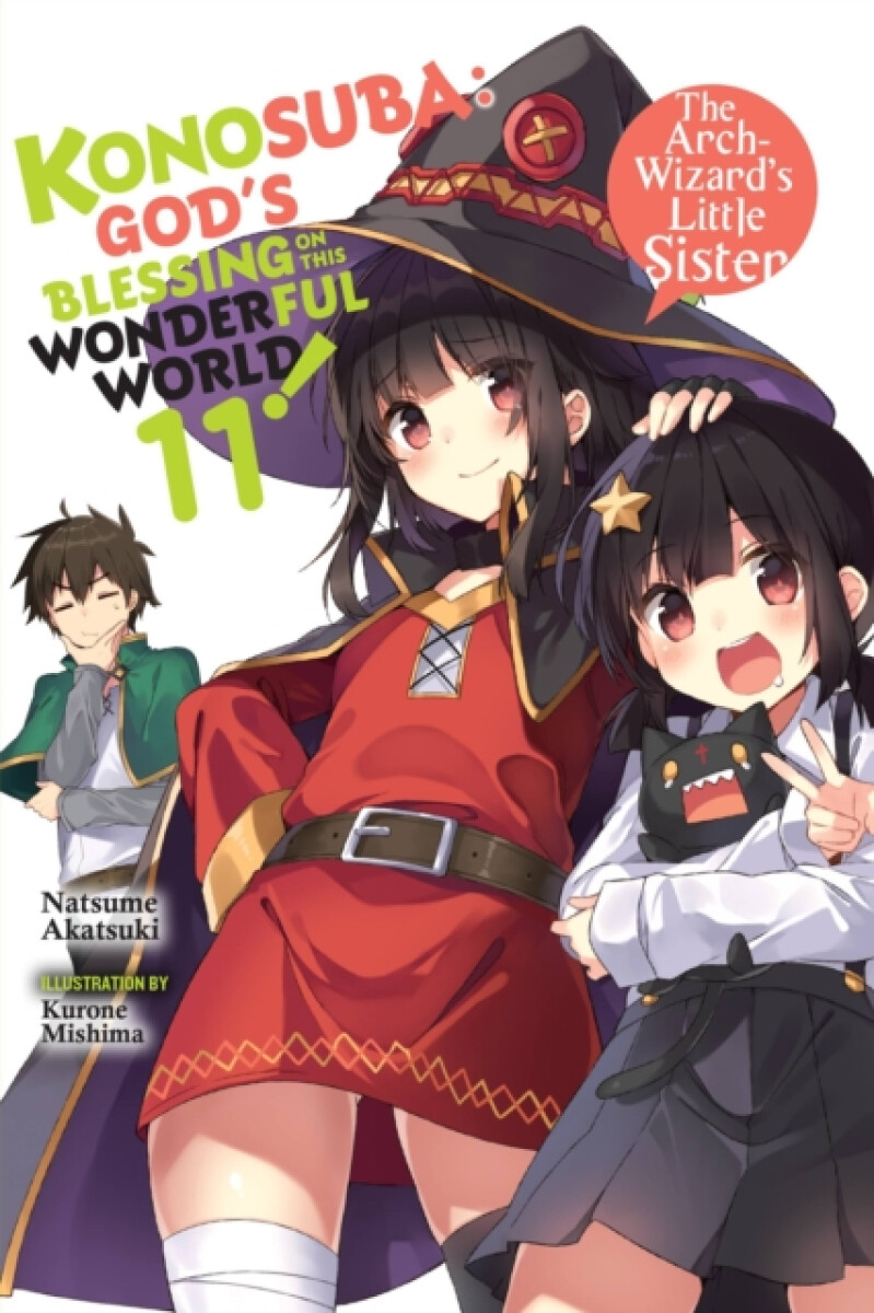 Kniha Konosuba: God's Blessing on This Wonderful World!, Vol. 11 (light novel)