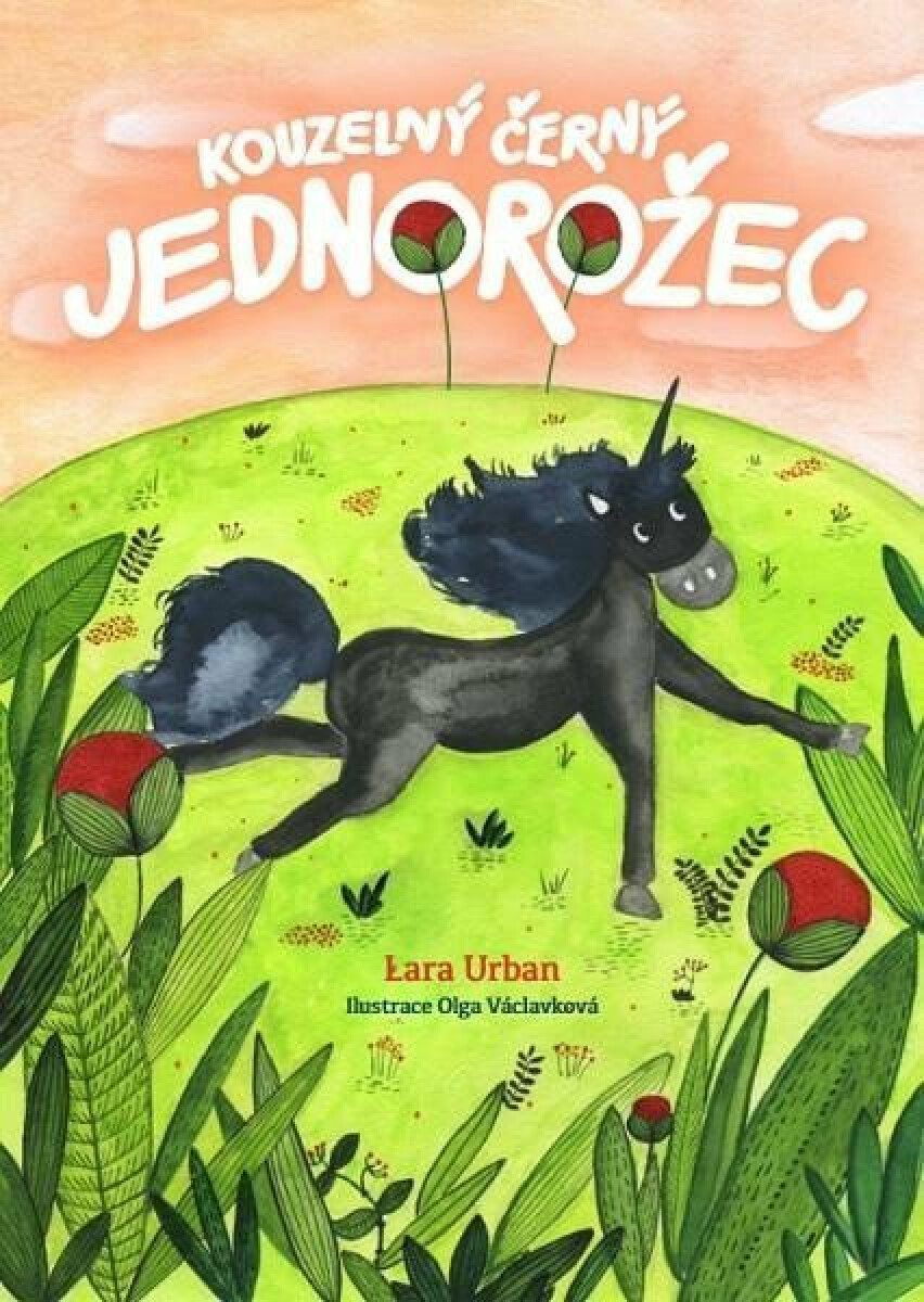 Kniha Kouzelný černý jednorožec