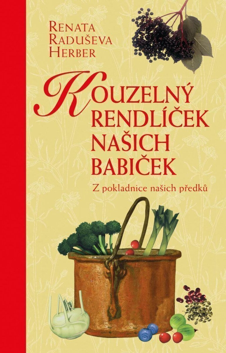 Kniha Kouzelný rendlíček našich babiček - Z pokladnice našich předků