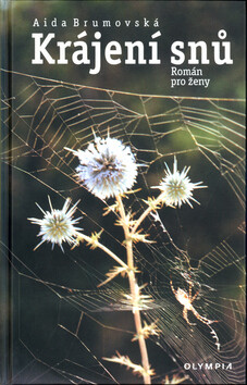 Kniha Krájení snů (poškozená)