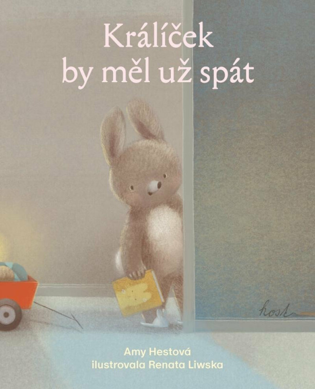 Kniha Králíček by měl už spát