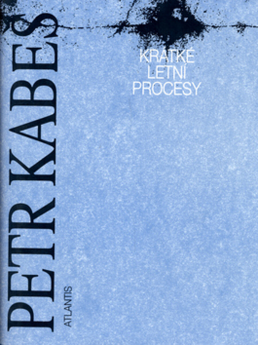 Kniha Krátké letní procesy