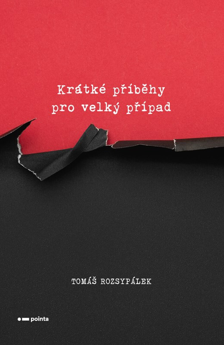Kniha Krátké příběhy pro velký případ