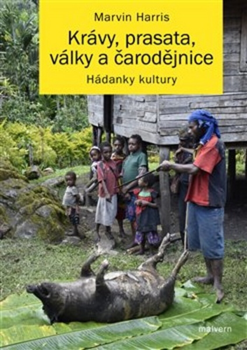 Kniha Krávy, prasata, války a čarodějnice - Hádanky kultury