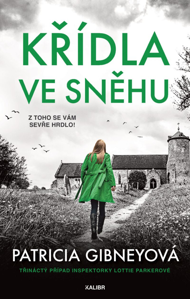 Levně Křídla ve sněhu - Patricia Gibneyová