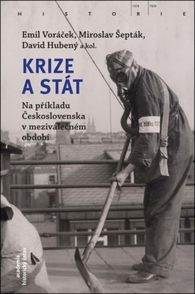 Krize a stát