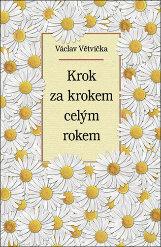 Kniha Krok za krokem celým rokem