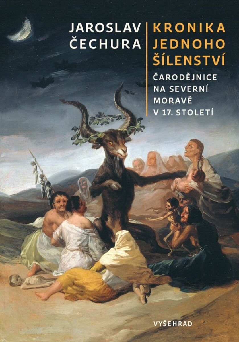 Kniha Kronika jednoho šílenství