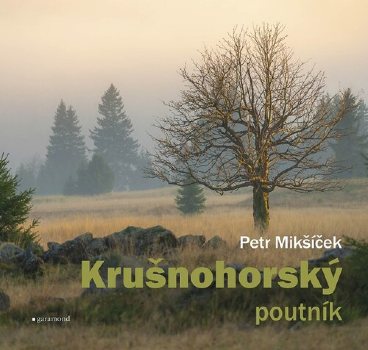 Kniha Krušnohorský poutník