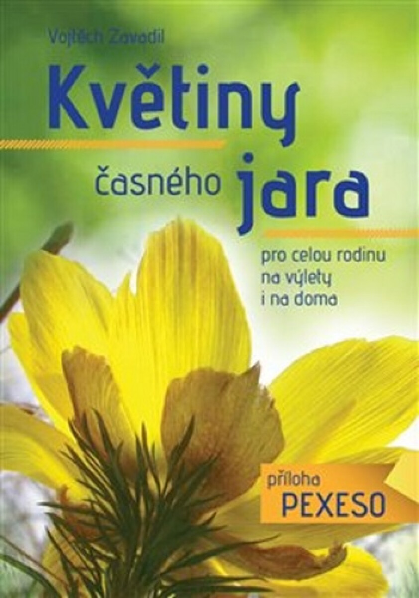 Kniha Květiny časného jara pro celou rodinu na výlety i na doma + příloha pexeso