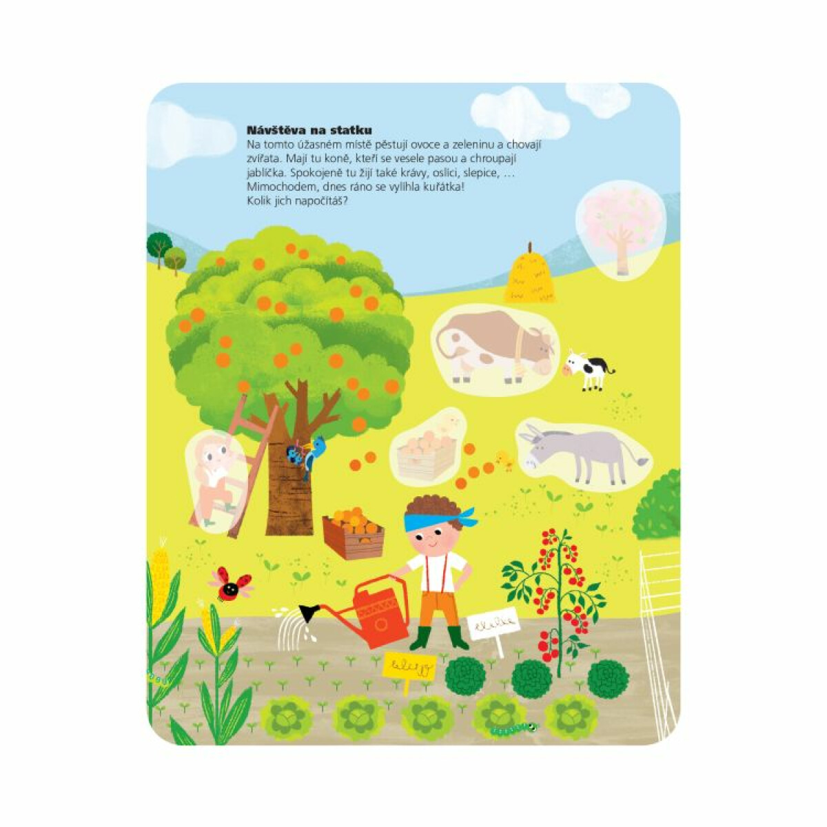 Kvído - Samolepkování: Koníci - Obrázek 3