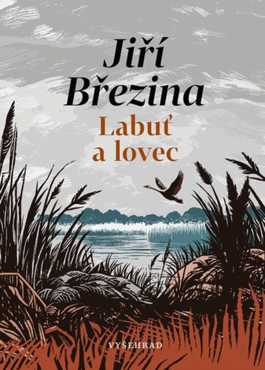 Kniha Labuť a lovec