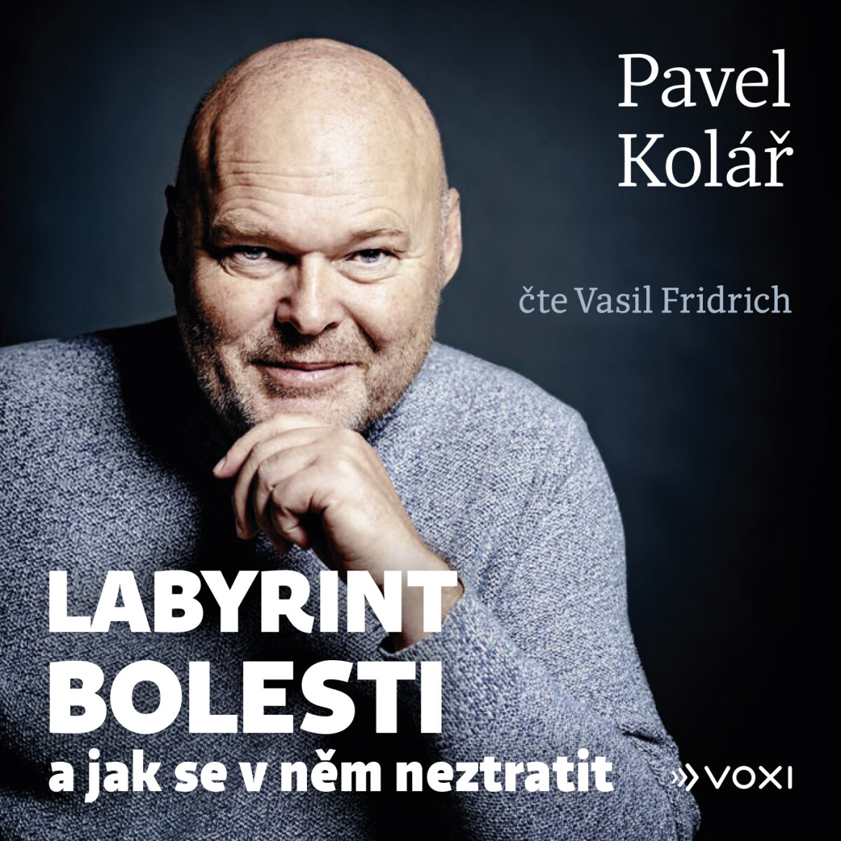 Levně Labyrint bolesti - Pavel Kolář - audiokniha