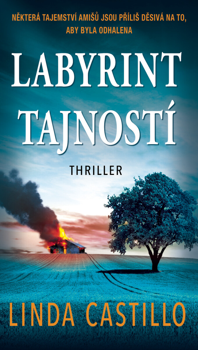Levně Labyrint tajností - Linda Castillo