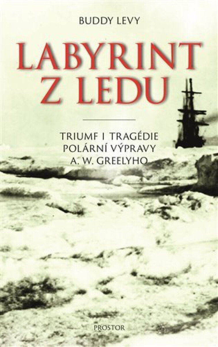 Kniha Labyrint z ledu