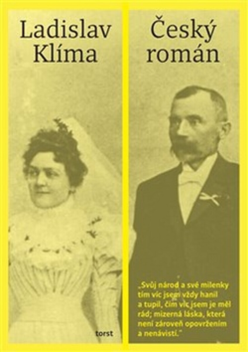 Kniha - Český román