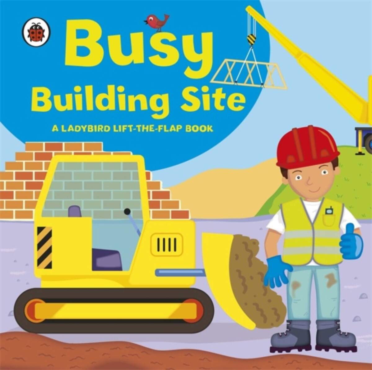 Kniha Ladybird lift-the-flap book: Busy Building Site