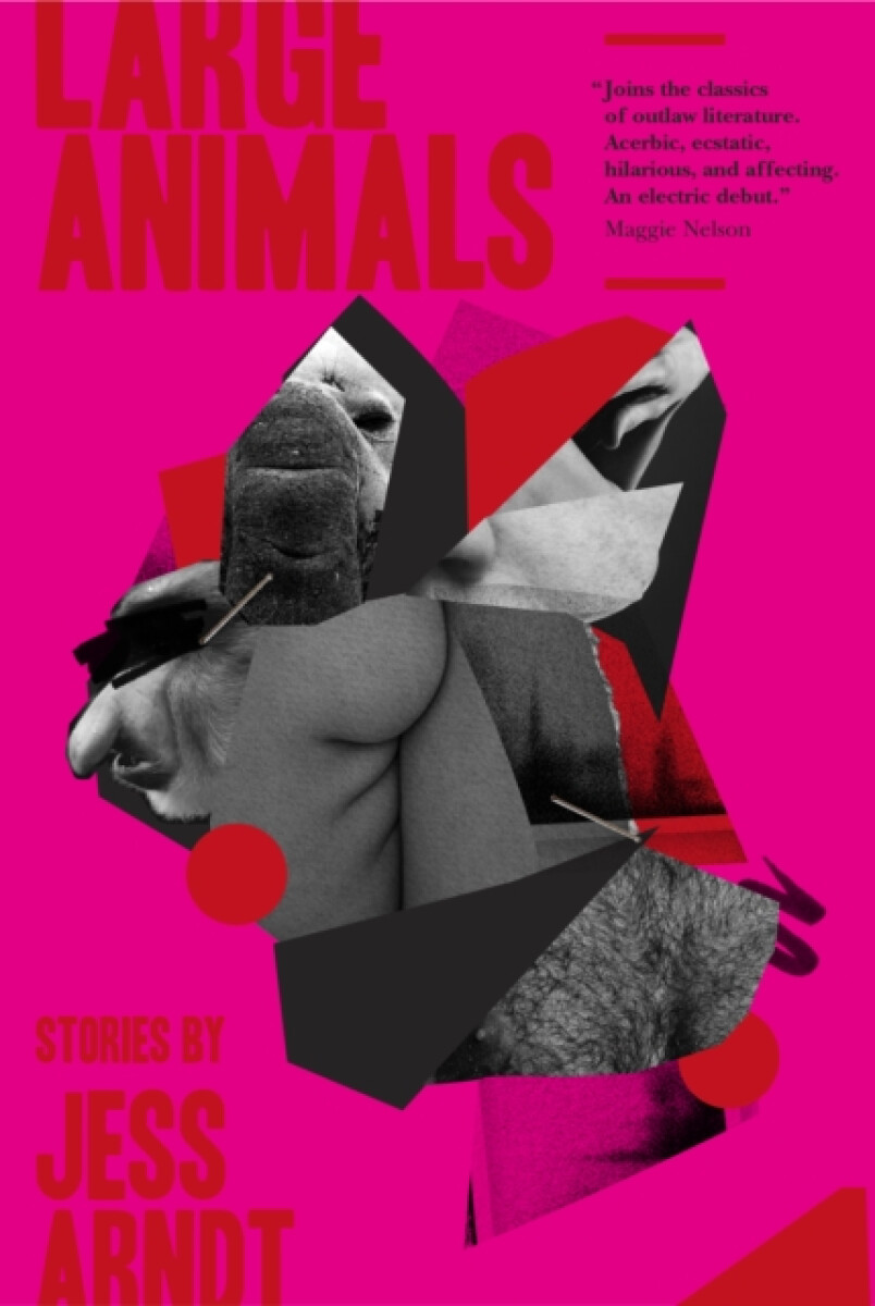 Kniha Large Animals