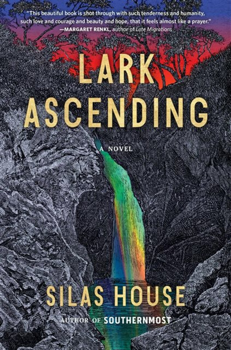 Kniha Lark Ascending