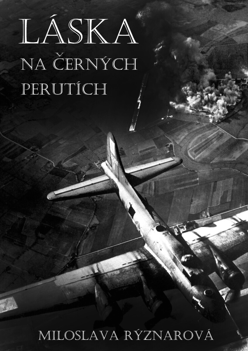 Láska na černých perutích - Miloslava Rýznarová