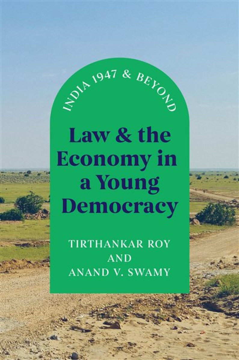 Kniha Law and the Economy in a Young Democracy